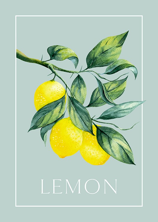 Vintage Lemons Plakat