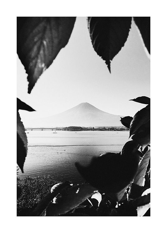 Mount Fuji B&W Plakat / Bjerge hos Desenio AB (13638)