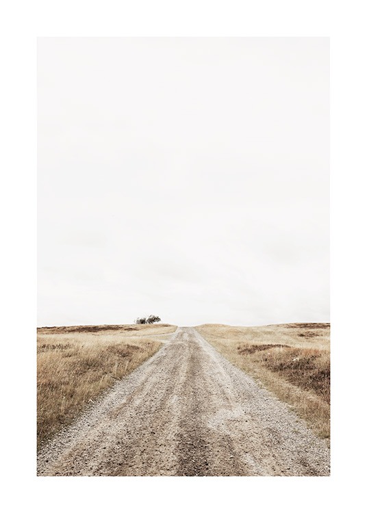 Lonely Road Plakat / Landskab hos Desenio AB (13644)