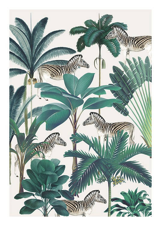 Royal Botanical Zebras Plakat / Vilde dyr hos Desenio AB (13734)