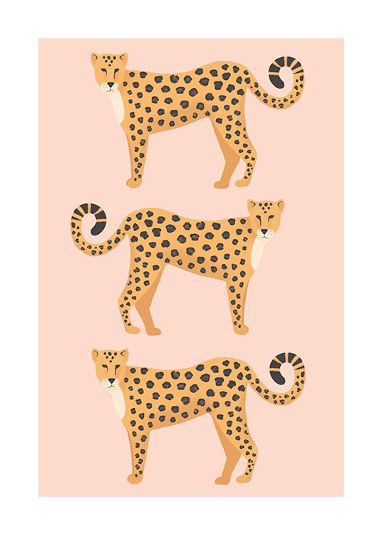 Three Leopards Plakat / Insekter & Dyr hos Desenio AB (13781)