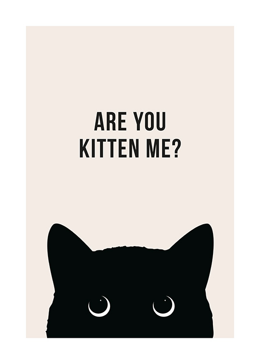 Are You Kitten Me? Plakat / Humor og sjov hos Desenio AB (13790)