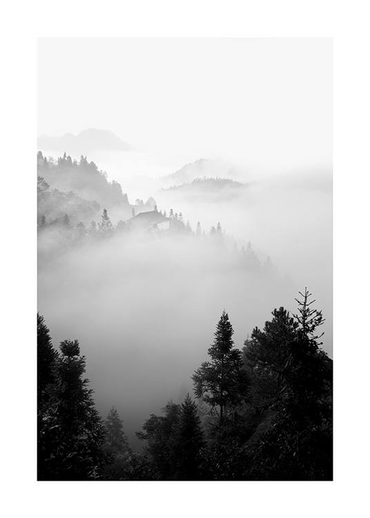 – Sort-hvidt fotografi af et diset skovlandskab i bjergene
