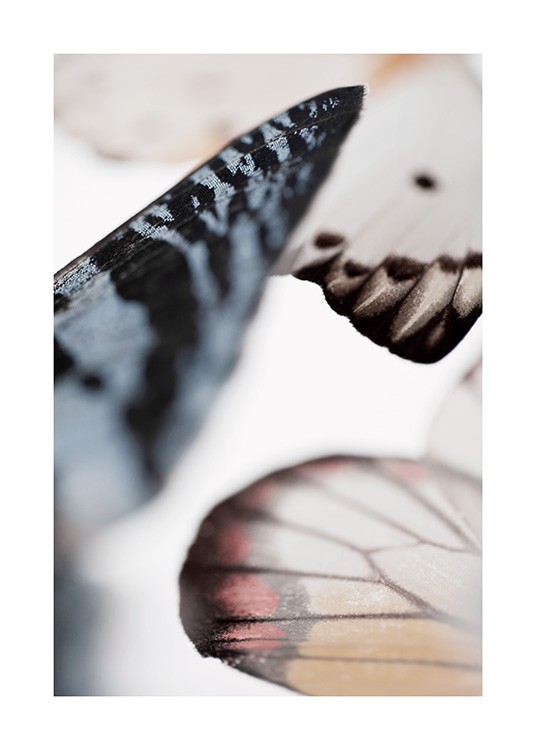 Butterfly Wings Plakat