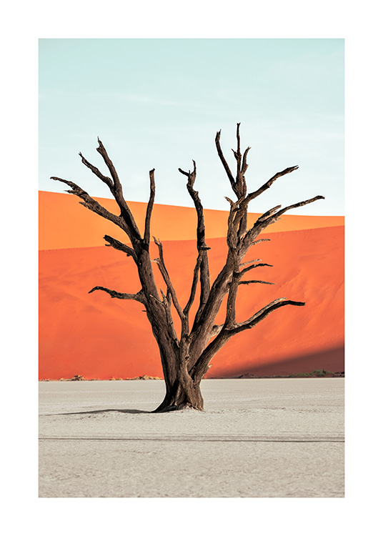  - Fotografi af et brunt træ, der står i ørkenen foran en blå himmel og røde sandklitter