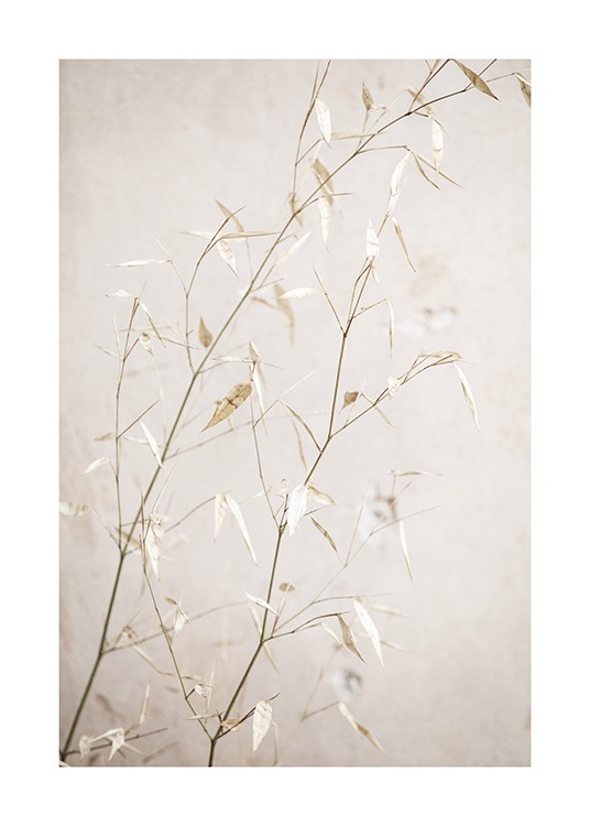  - Fotografi med nærbillede af små blade på beige græsstrå mod en lys beige baggrund