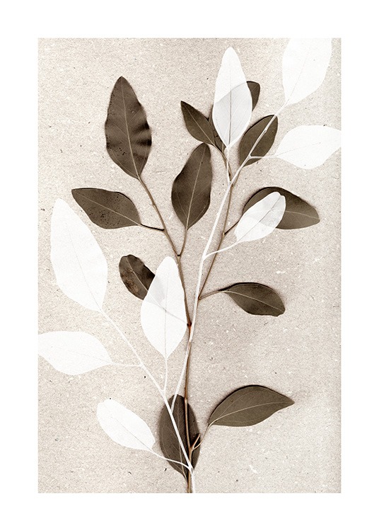  - Fotografi af eukalyptusgrene i grønt og hvidt på en beige stenbaggrund
