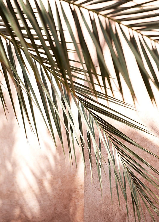  - Fotografi med nærbillede af palmeblade og skygger mod en lyserød baggrund