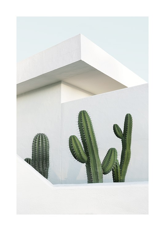Cactus House Plakat