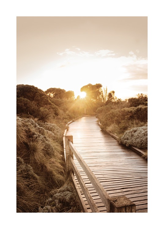  – Fotografi af en træbro, der går gennem landlige omgivelser, i solnedgangen