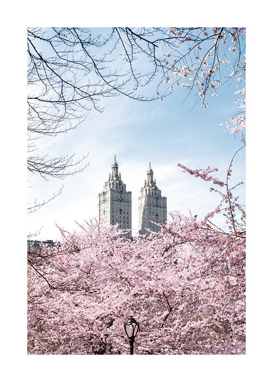  – Fotografi af kirsebærtræer foran to tårne med blå himmel bag