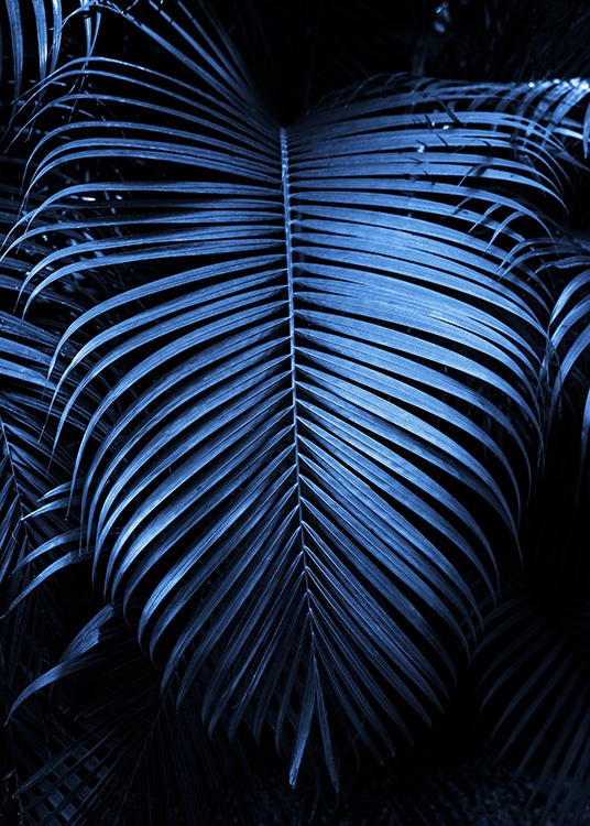  – Fotografi af et stort mørkeblåt palmeblad