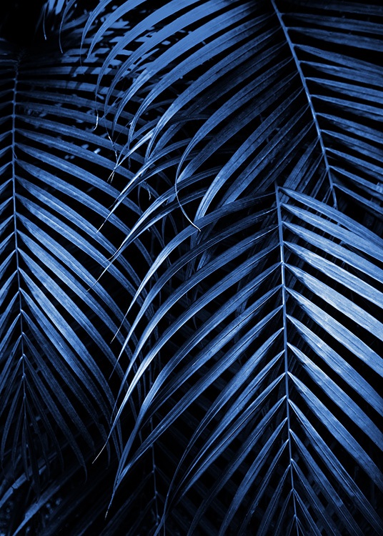 Blue Palm Leaves No2 Plakat