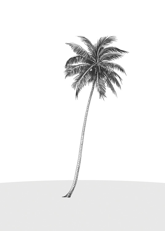 Lonely Palm Tree Plakat