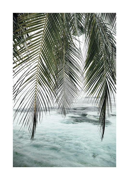  – Fotografi af grønne palmeblade, der hænger nedad, med et klart blåt hav i baggrunden
