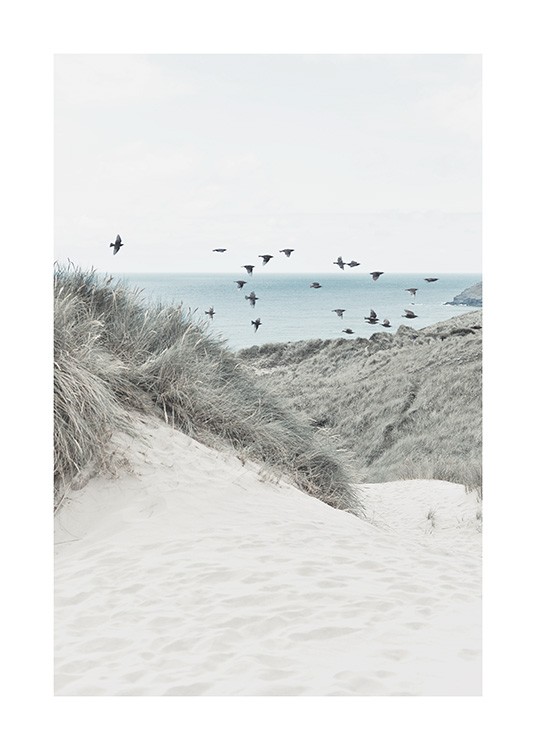 – Fotografi af klitter og græs med en flok fugle og et hav i baggrunden
