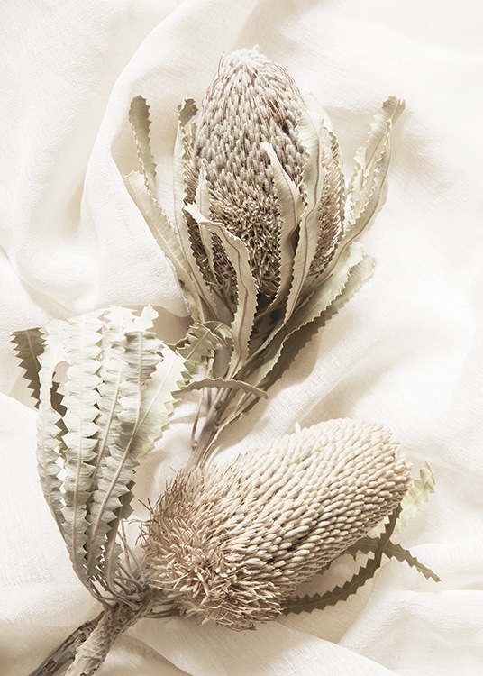  – Fotografi af to tørrede blomster i beige mod hvidt stof i baggrunden