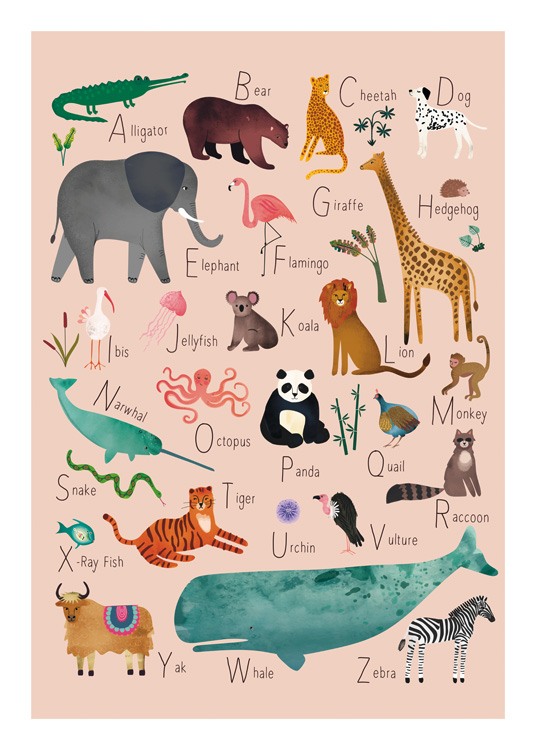  – Illustration med dyr og deres betegnelser, der er skrevet med det første bogstav fremhævet