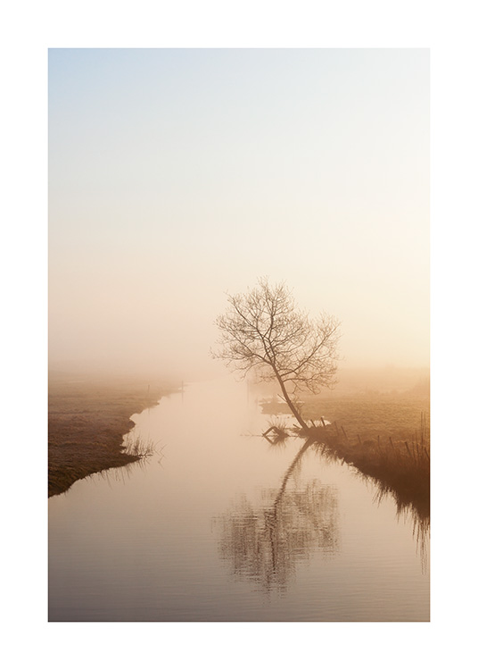 Misty Morning Light Plakat
