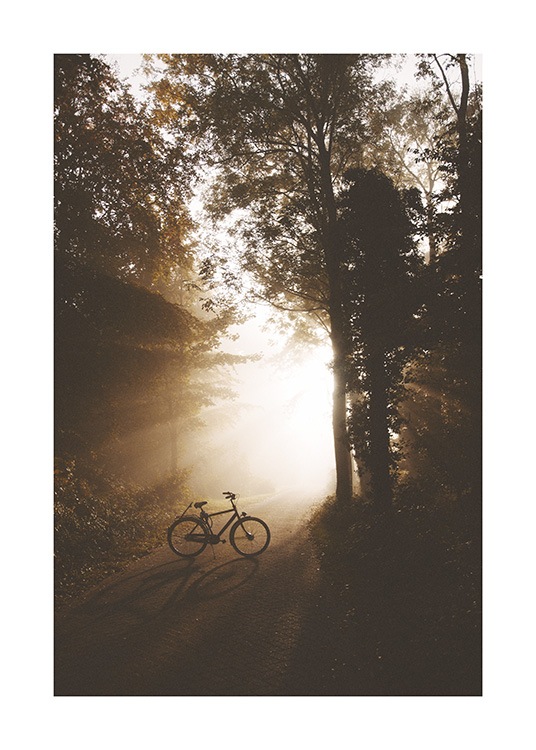  – Fotografi af en skov med en cykel, der står midt på en sti i sollys