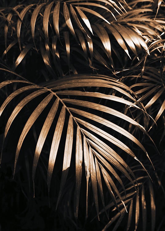  – Foto af gyldne palmeblade mod en sort baggrund