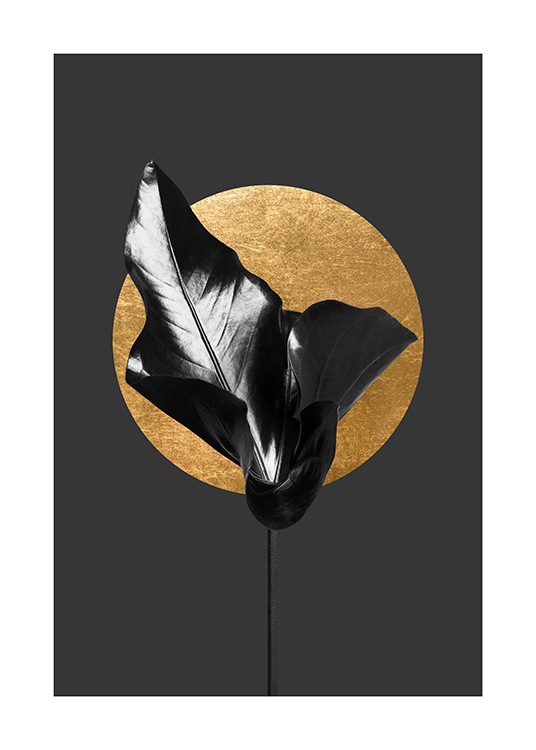  – Fotografi af et blad i sort foran en guldcirkel på en mørkegrå baggrund