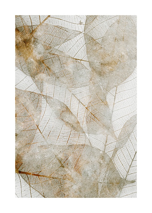  – Foto af beige og gyldne abstrakte blade