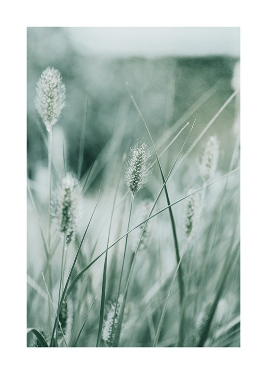 Poetry of Nature No1 Plakat