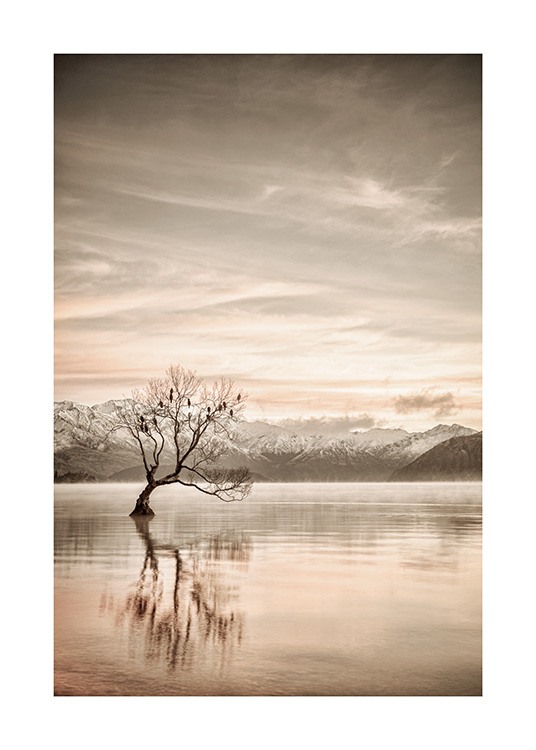  – Fotografi af en stille sø, hvori der står et træ, og bjerge i baggrunden