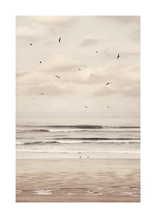  – Fotografi af en strand og et hav med sorte fugle, der flyver foran en overskyet himmel