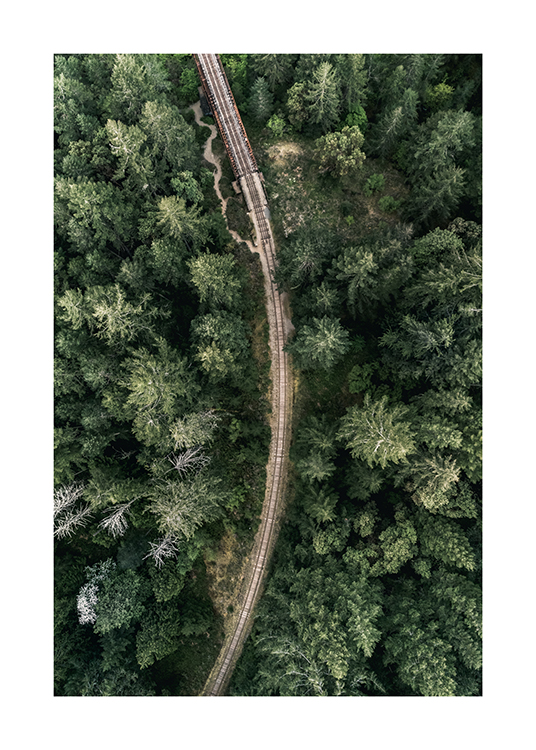 Forest From Above Plakat