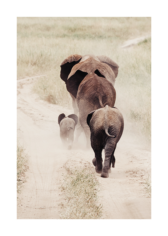  – Fotografi af elefanter set bagfra, der går på en støvet vej omgivet af græs