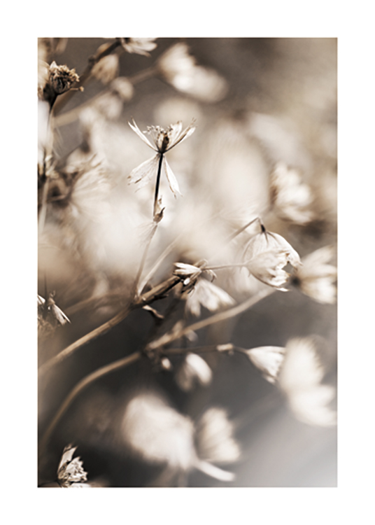  – Fotografi med nærbillede af små blomster i lys beige med en sløret baggrund