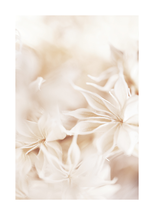  – Fotografi med nærbillede af lyse blomster