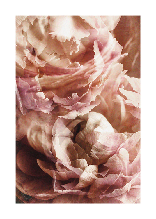  – Fotografi med nærbillede af lyserøde blomster taget med sløret filter