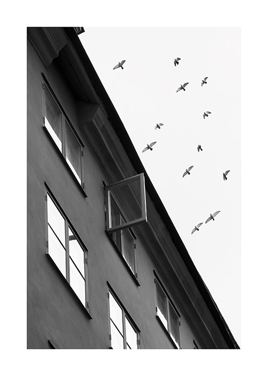 – Sort-hvidt fotografi af en flok fugle, der flyver over en bygning, hvor et vindue står åbent