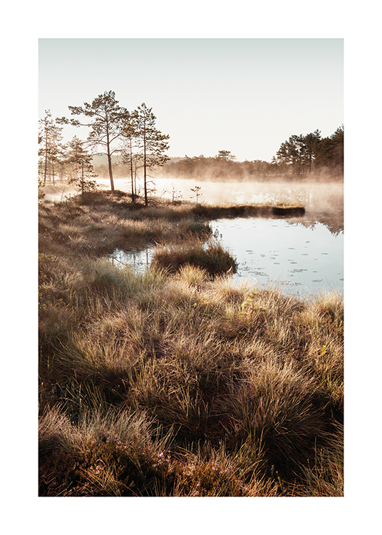  – Fotografi af græs omkring en lille dam med træer og tåge i baggrunden