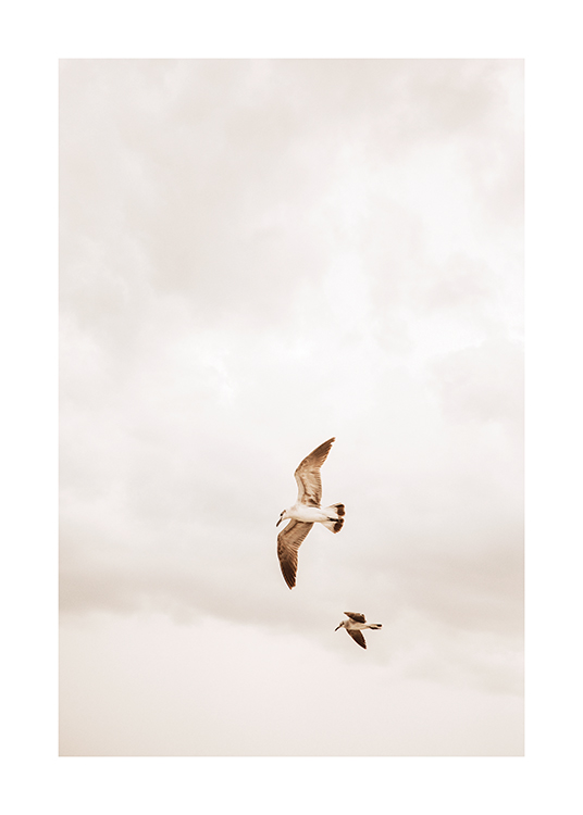  – Et billede af to fugle, der flyver på en overskyet himmel