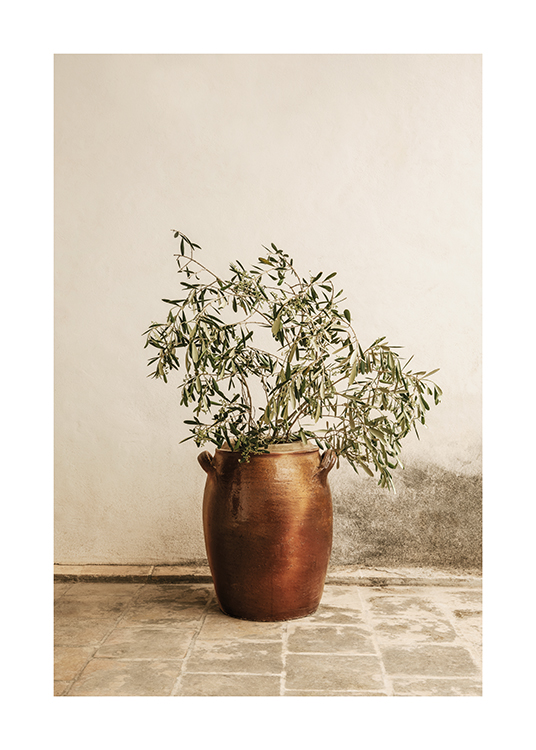 – Et oliventræ placeret i en vase