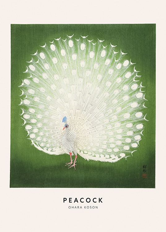 – Illustration, der forestiller en påfugl med hvide fjer mod en grøn baggrund med tekstur