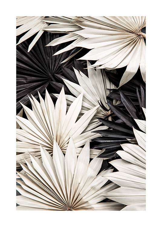  – Fotografi af sorte og hvide palmeblade med folder, der ligger oven på hinanden