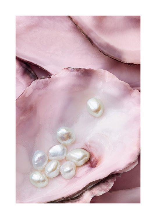  – Fotografi af lyserøde østers med hvide perler, der ligger i en af østerne