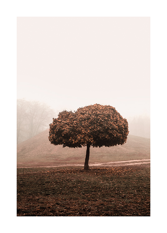  – Fotografi af en tåget mark med et træ i midten med en stor trætop