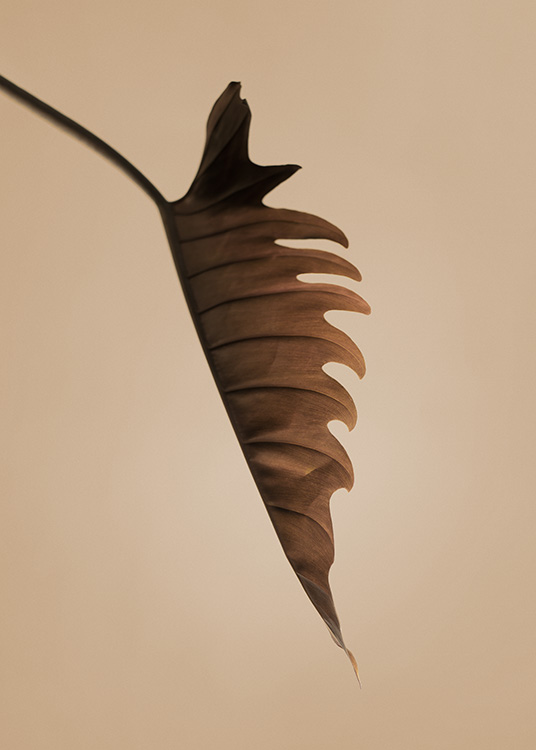  – Fotografi af et brunt blad set fra siden med ujævne kanter mod en baggrund i beige