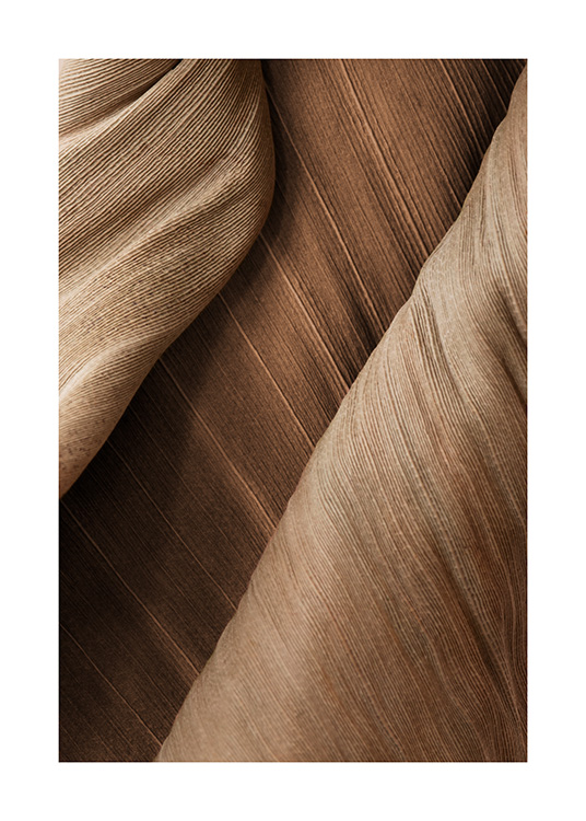 – Fotografi med nærbillede af et tørret brunt blad med tydelige riller