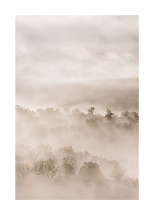 – Et fotografi af et tåget landskab med træer i beige farver