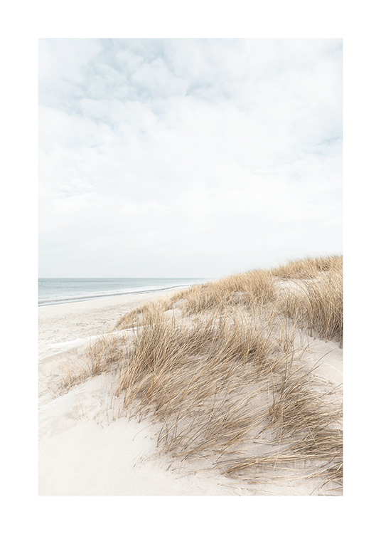 – Fotografering af sandklitter ved vandet