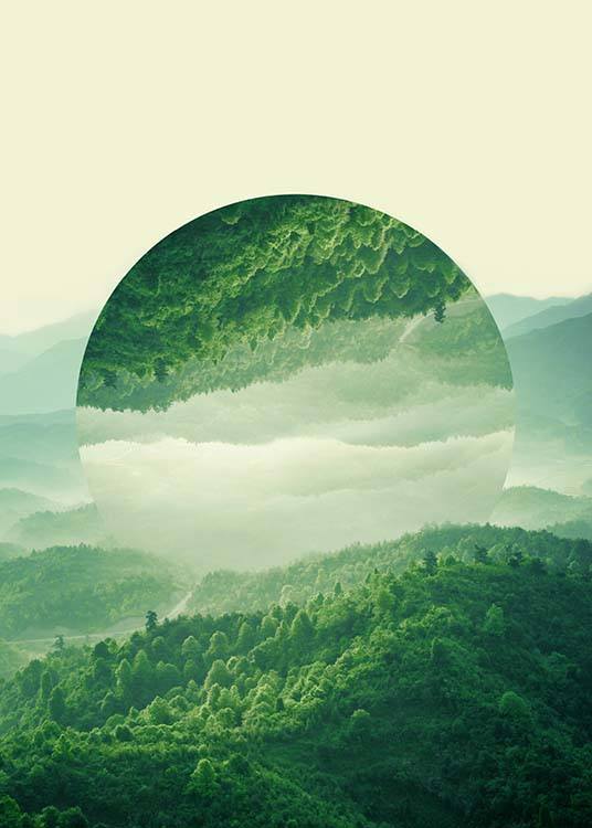 Reflected Forest Plakat / Naturmotiv hos Desenio AB (2039)