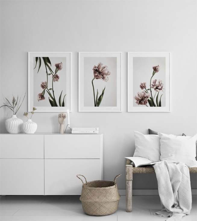  – Fotografi af en klynge lyserøde tulipaner i fuldt flor mod en grå baggrund