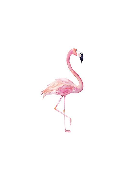 Flamingo Aquarelle Plakat